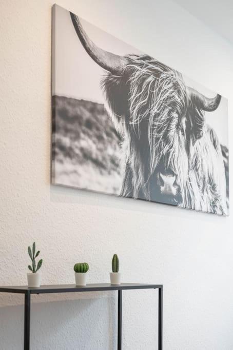 Casa Aguila - Apartment Viernheim
